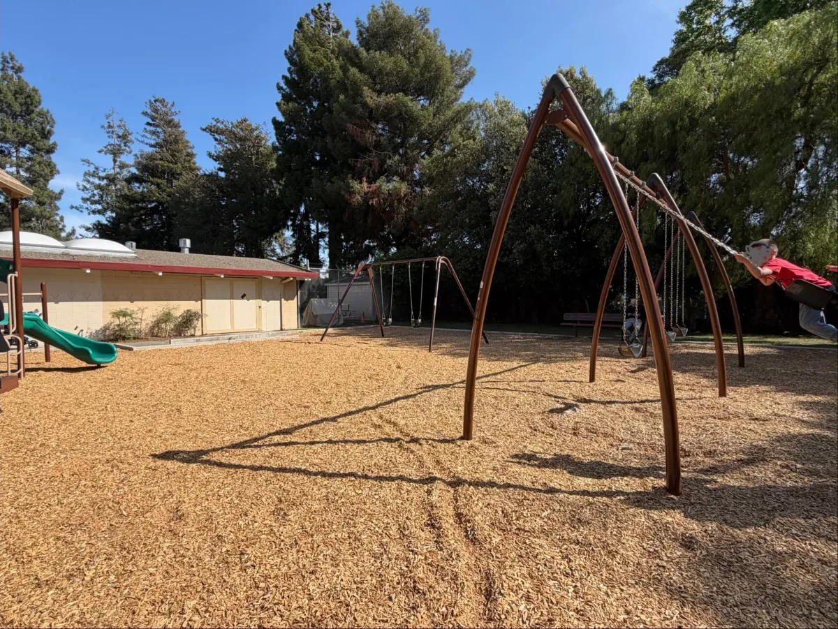 Baby swings and big kid swings