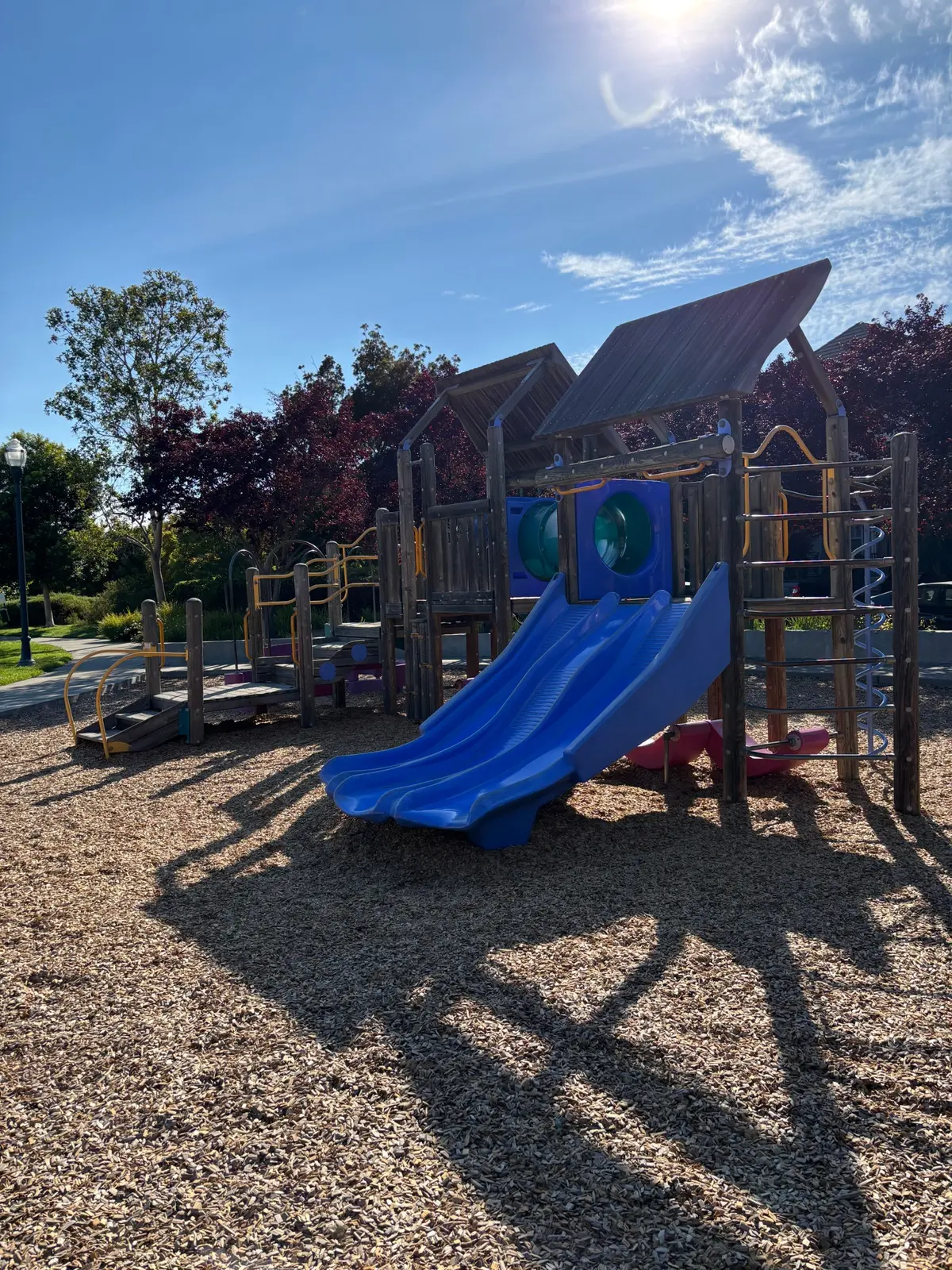 Friendship slides allow up to 3 kids going down together
