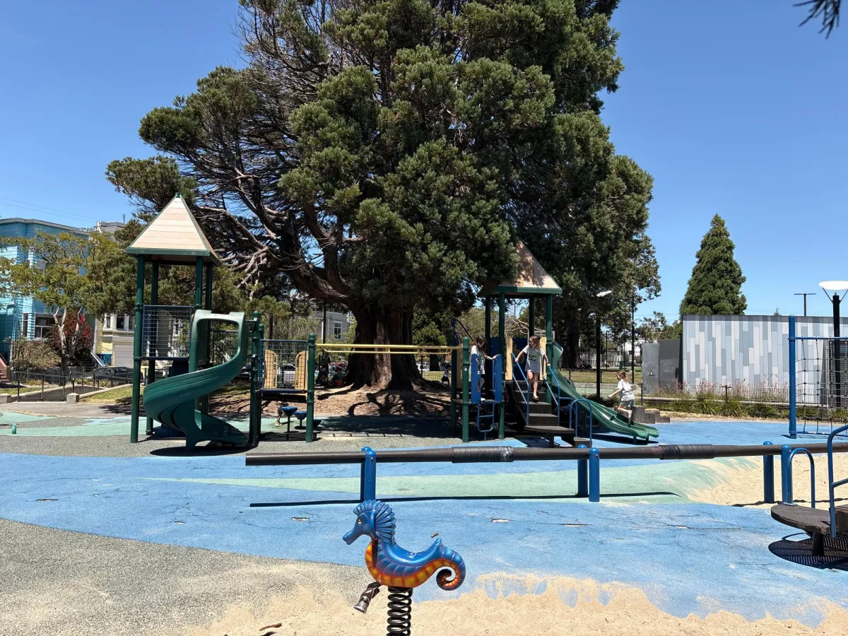 Main playground and seahorse ride on toy