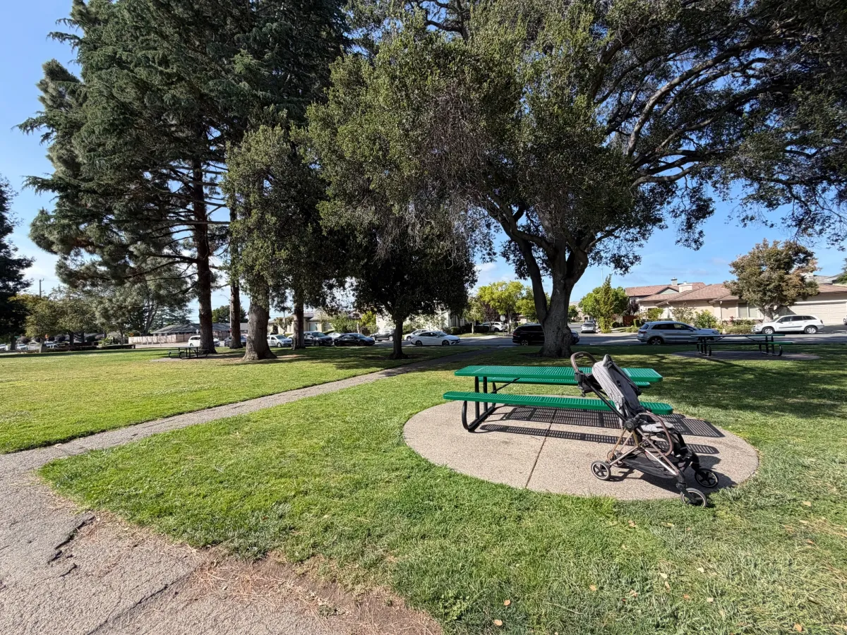 Picnic tables and grassy picnic spots