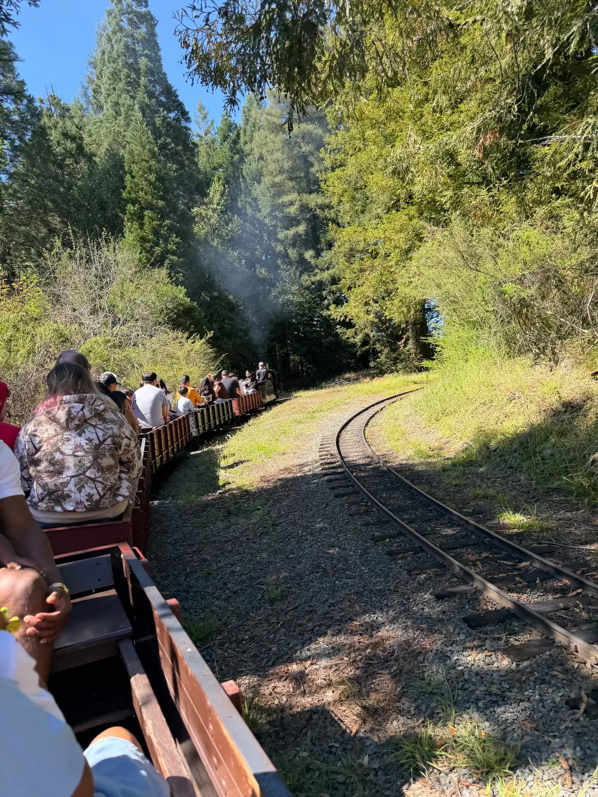 Tilden Park Steam Train at the Redwood Valley Railway
