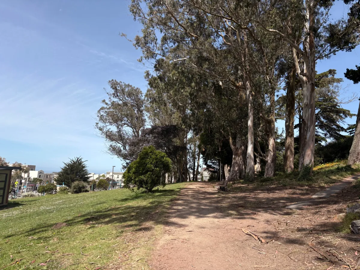 Foresty entrance from one of the park perimeters