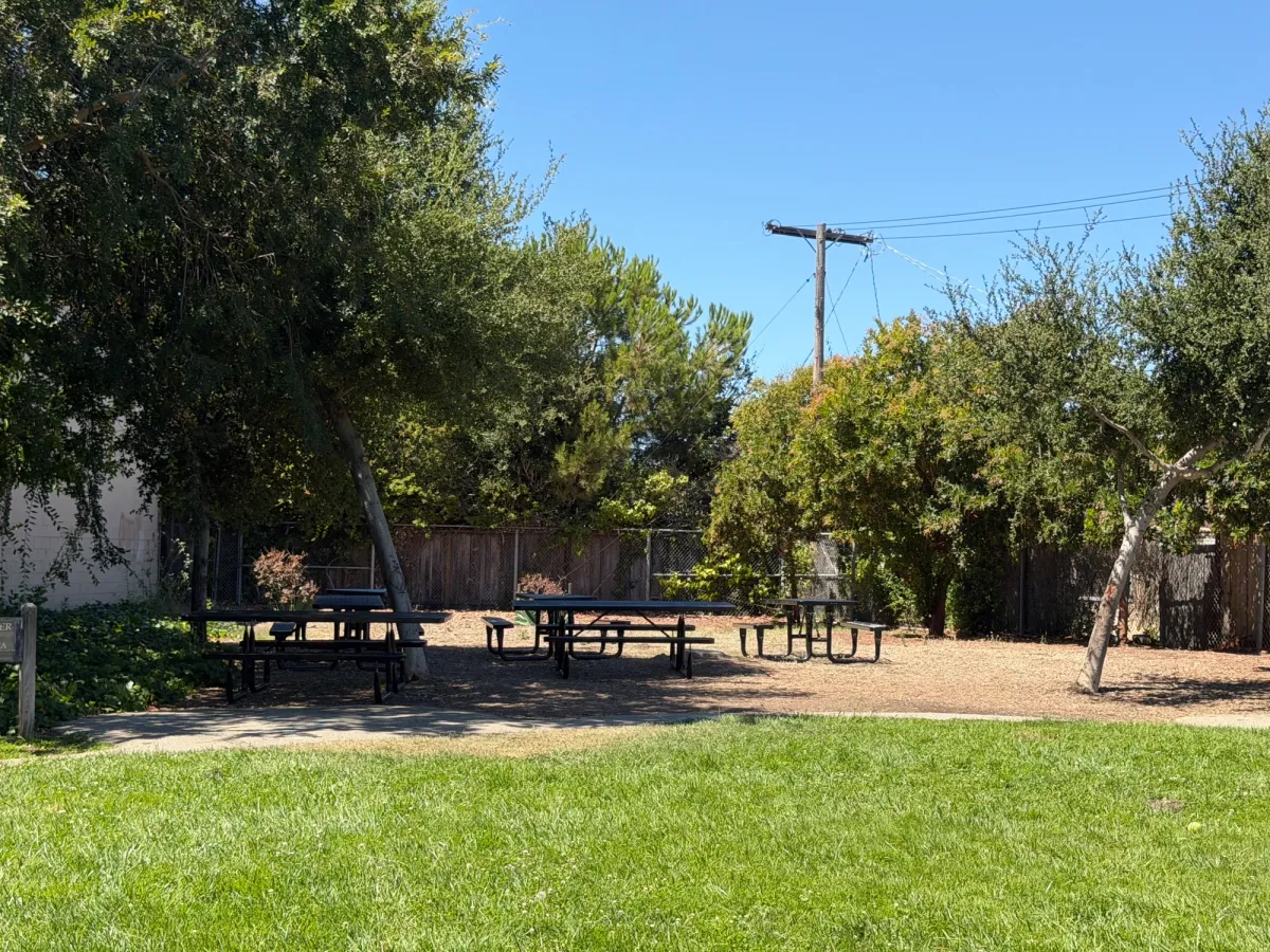 Picnic area