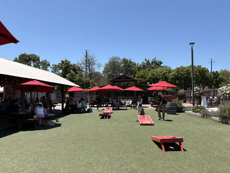 Cornhole and main area where kids can run freely
