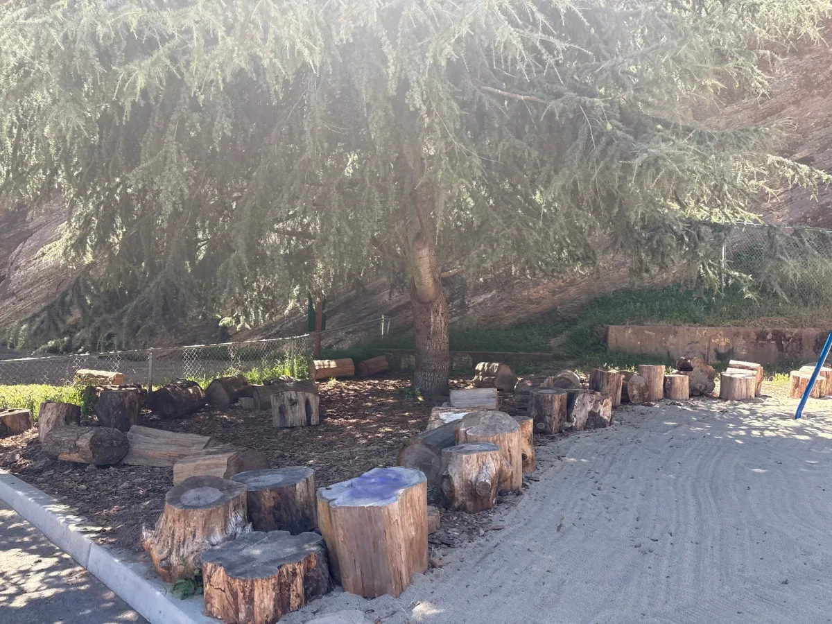 Shaded log wood area for littles seeking nature 