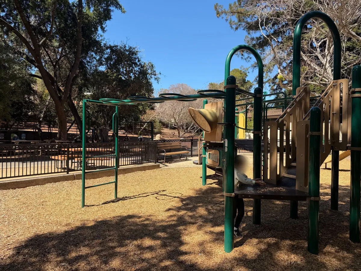 Monkey bars