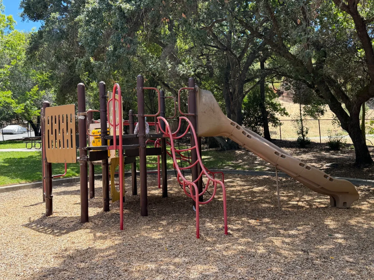 Big kid slide and not much else