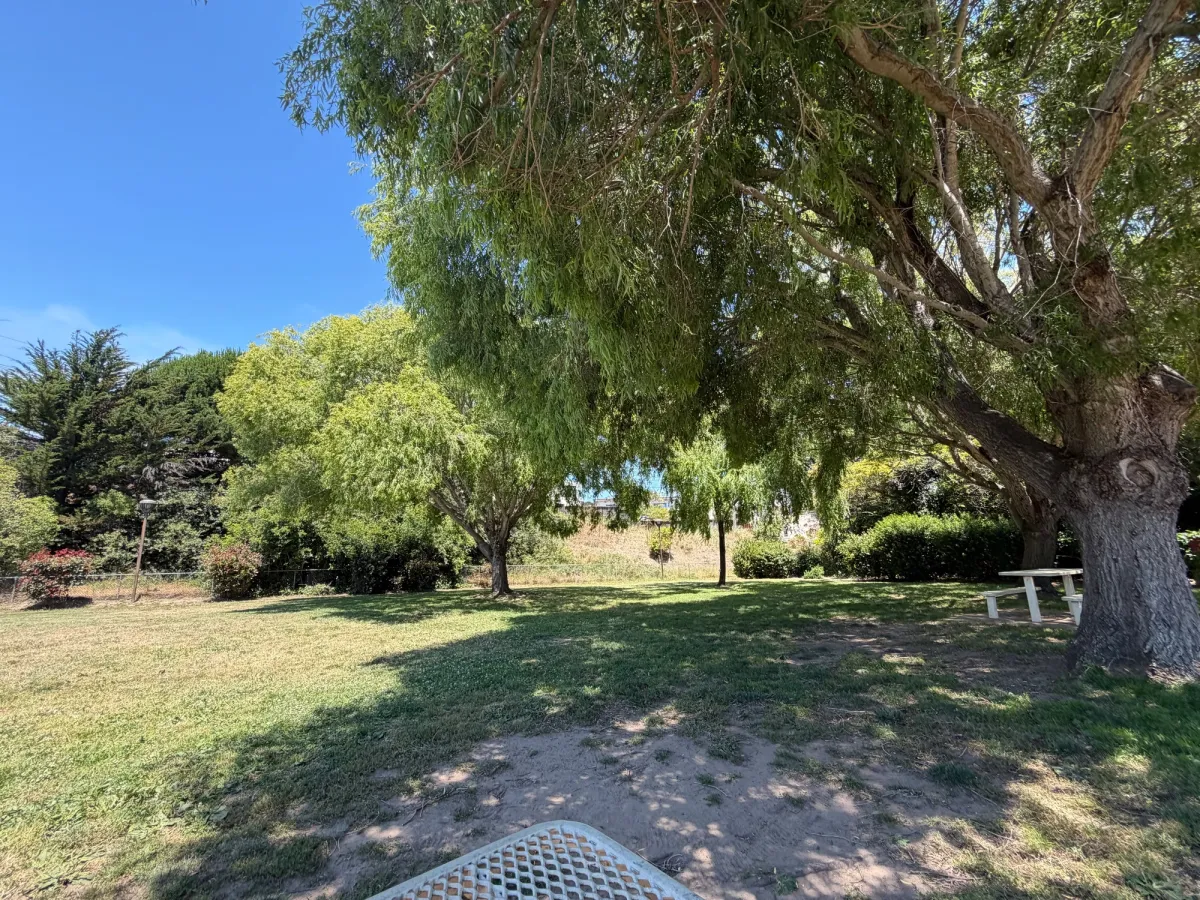 Small grassy area perfect for dogs