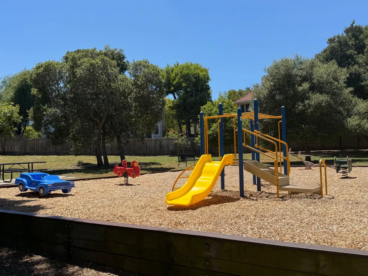 Play structure consists of slide, ladder, and monkey bars