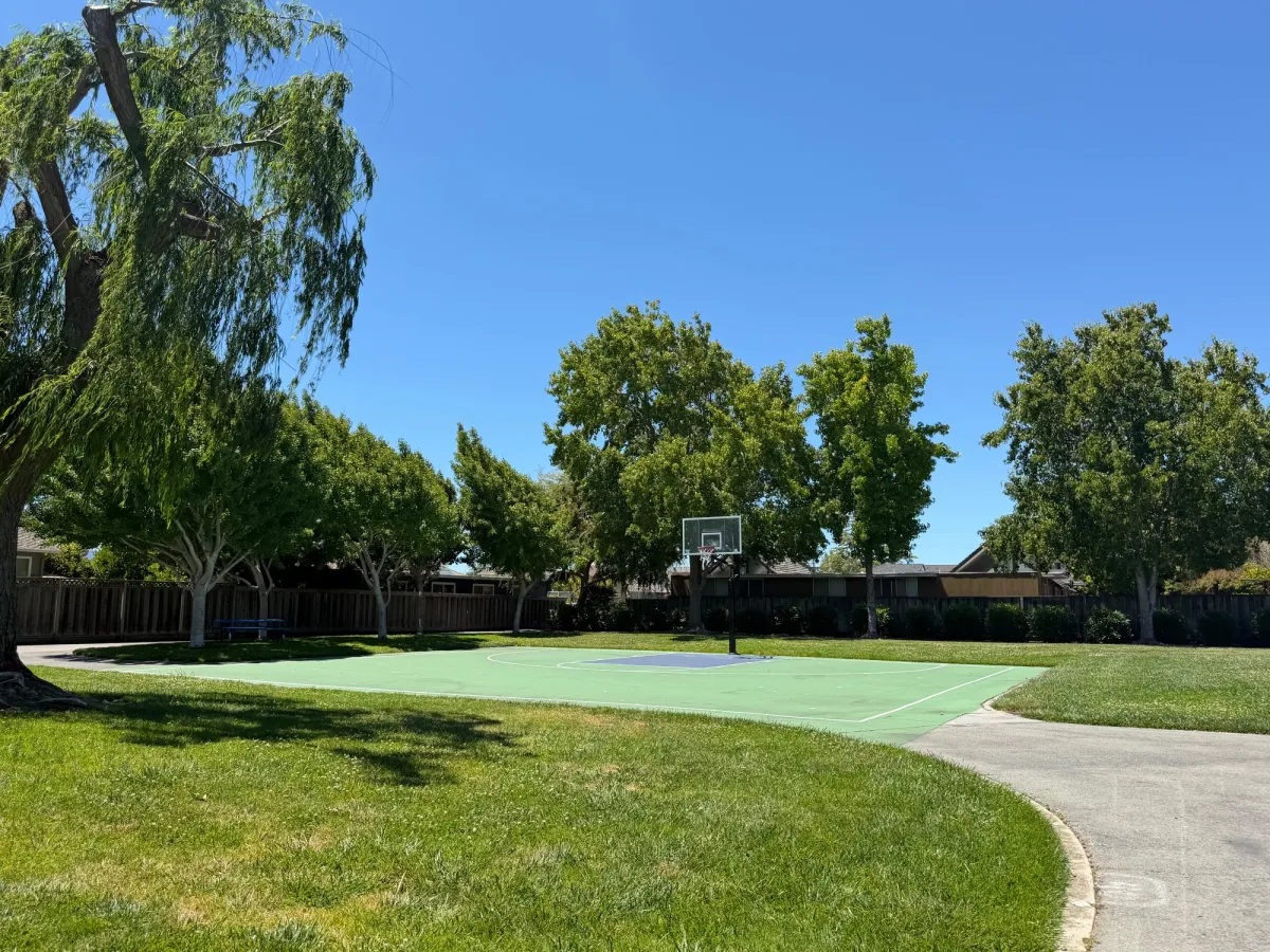 Basketball court