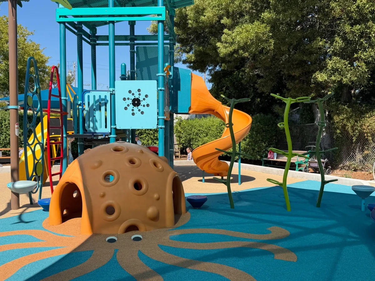 Octopus play house and kelp climbing structure 