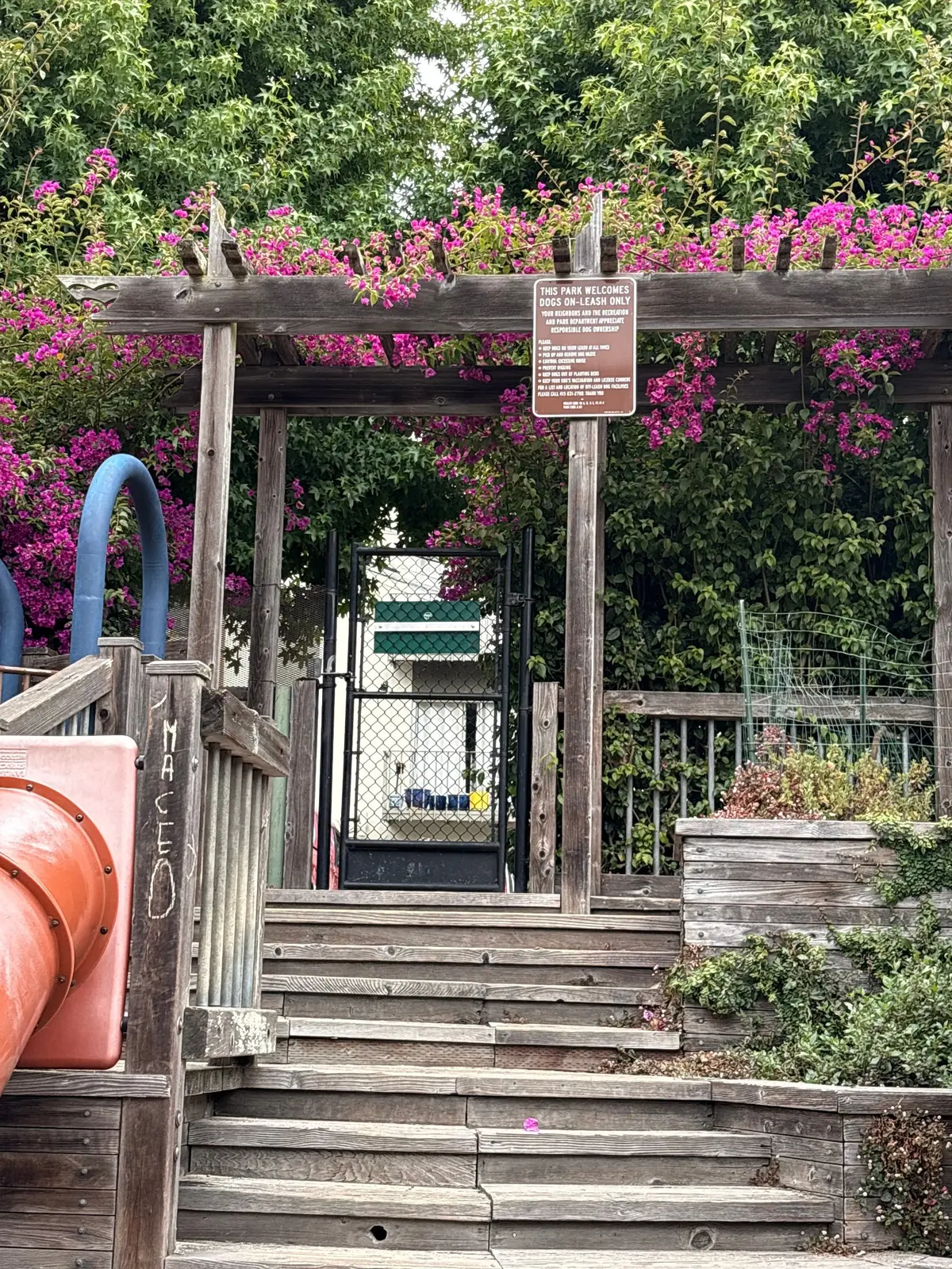 Hidden garden entrance into the playground park.