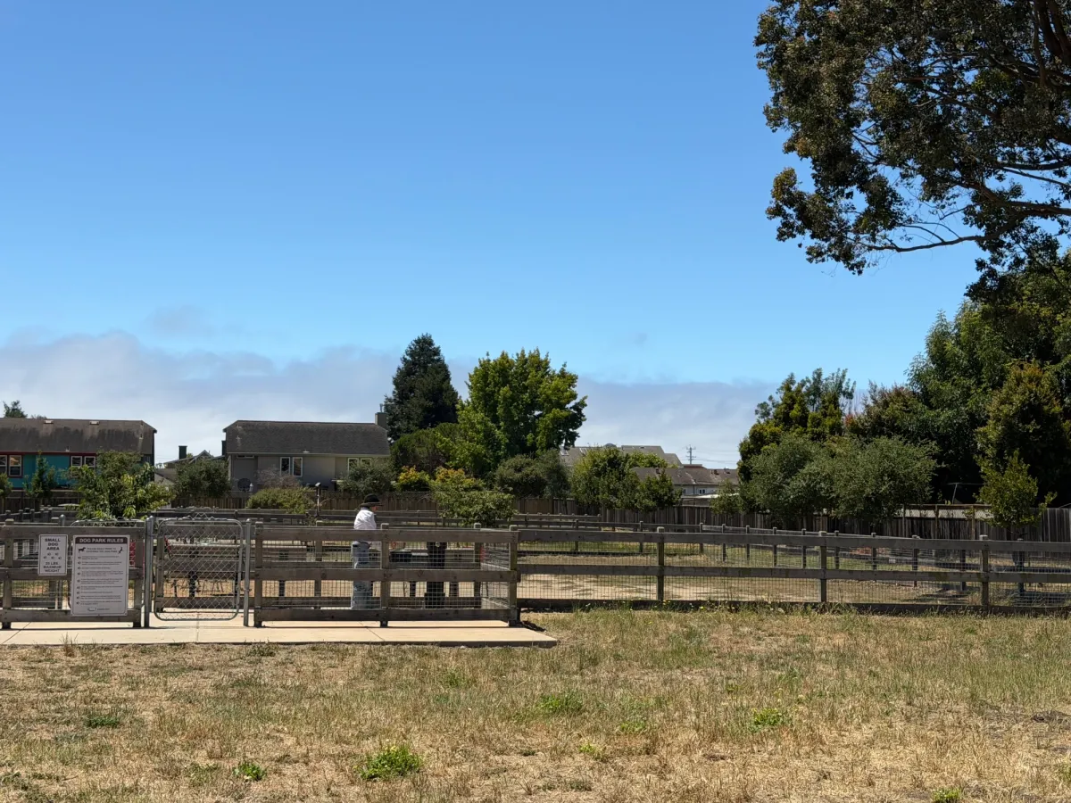 Dog park