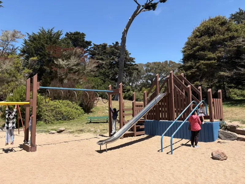 Large structure with a tall slide and hooped monkey bars