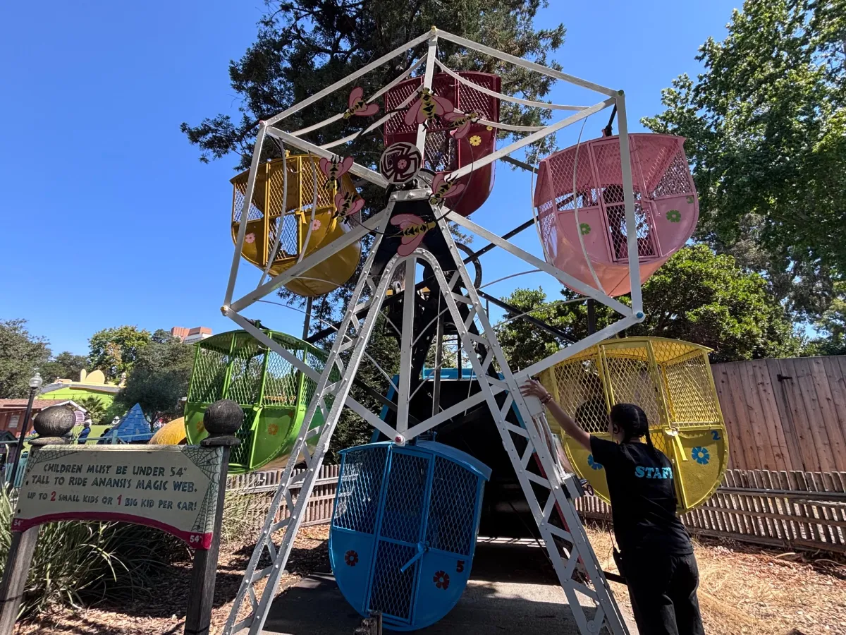 Mini ferris wheel