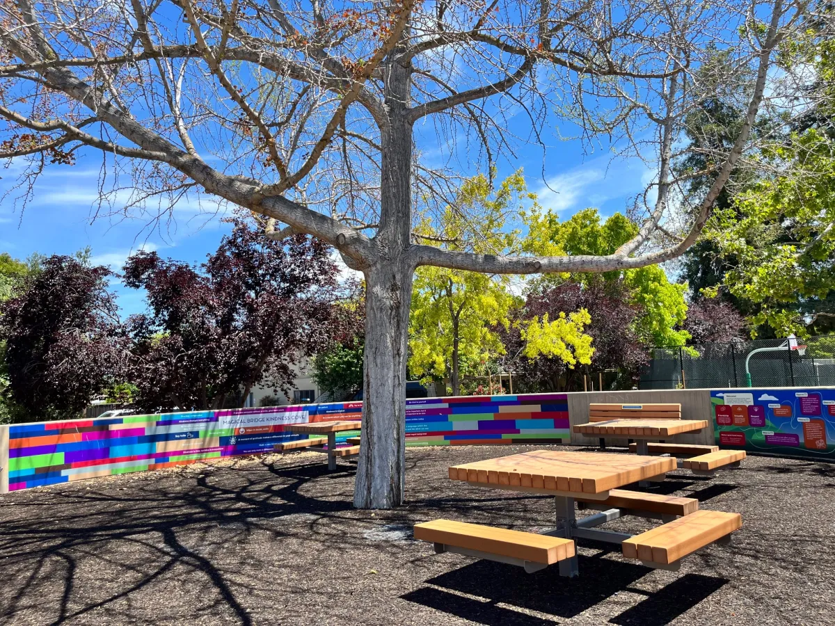 Magical Bridge Playground
