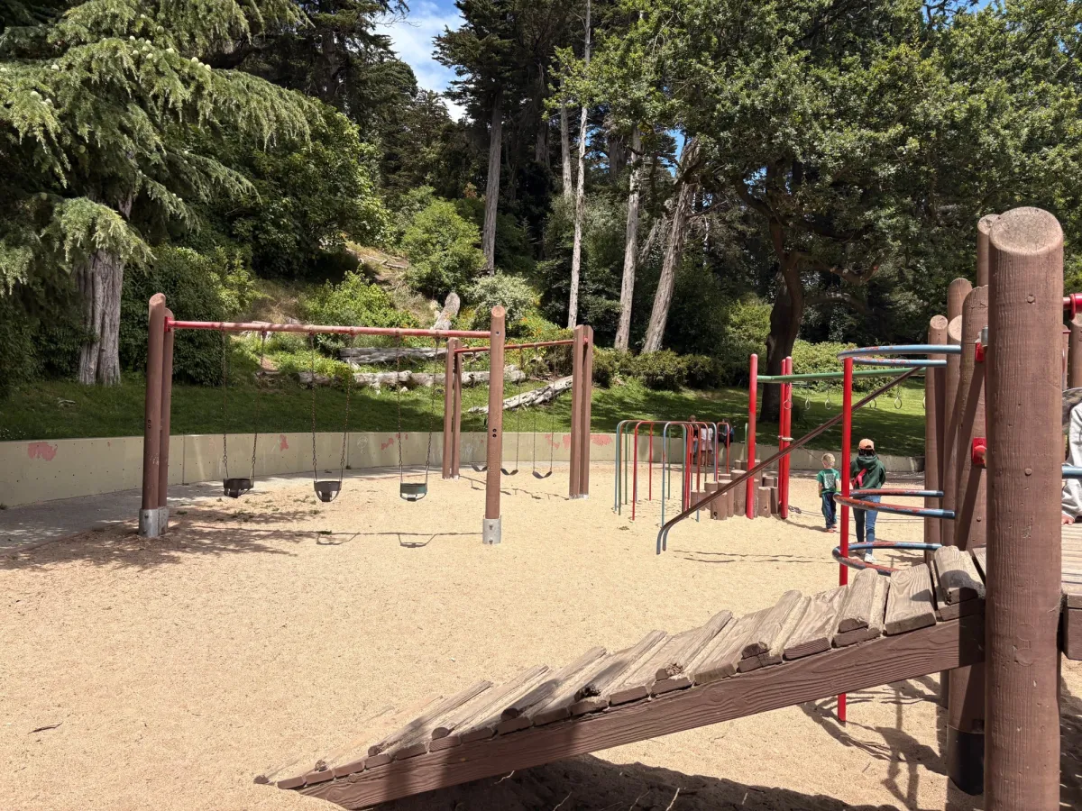 Bucket swings and regular swings