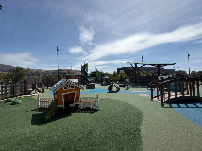 Cute playhouse, bridge, play structure and swings in the back.