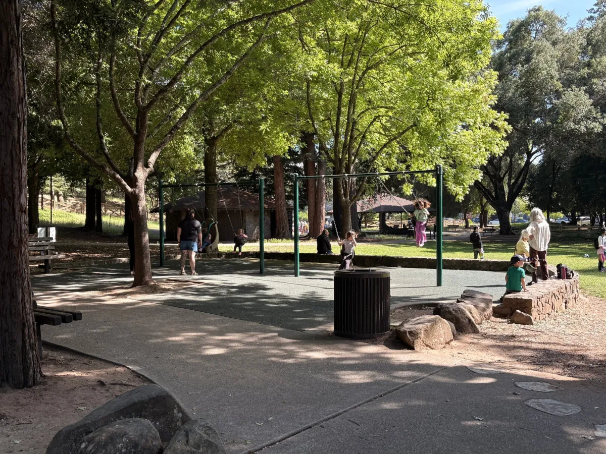 One of a few swing areas