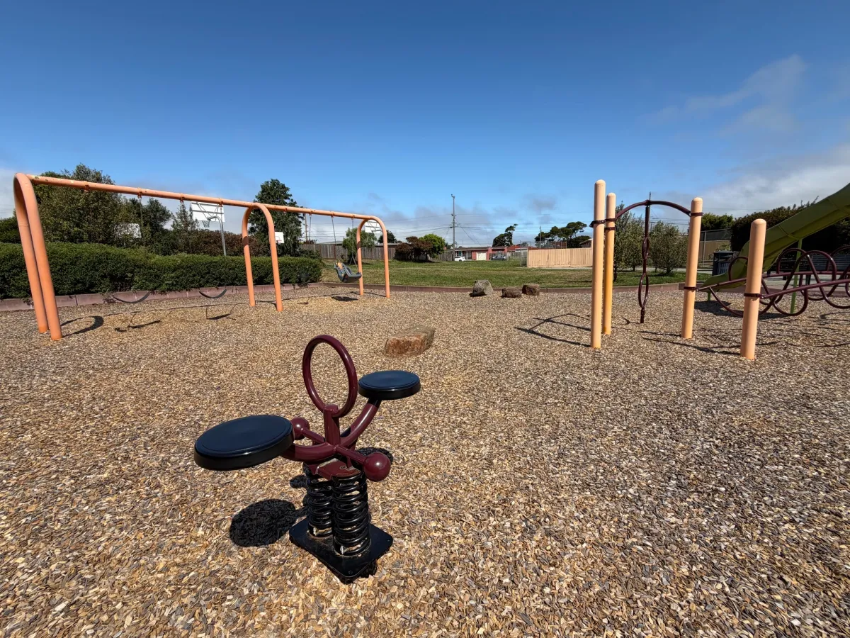 Swings for both big kids and toddlers available