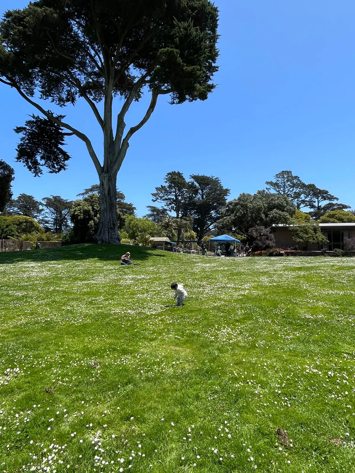 Wide grassy fields