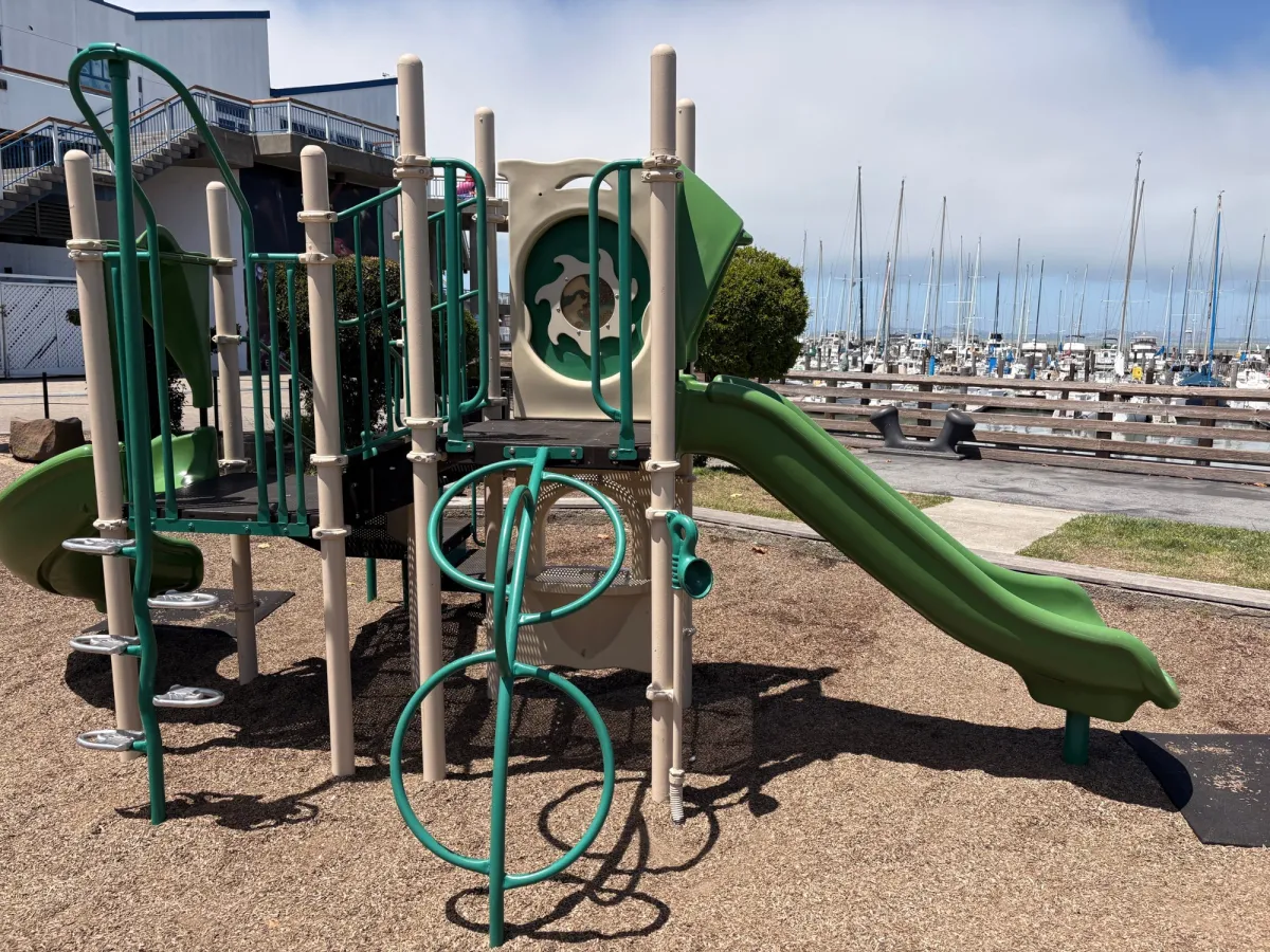 Climbing loops