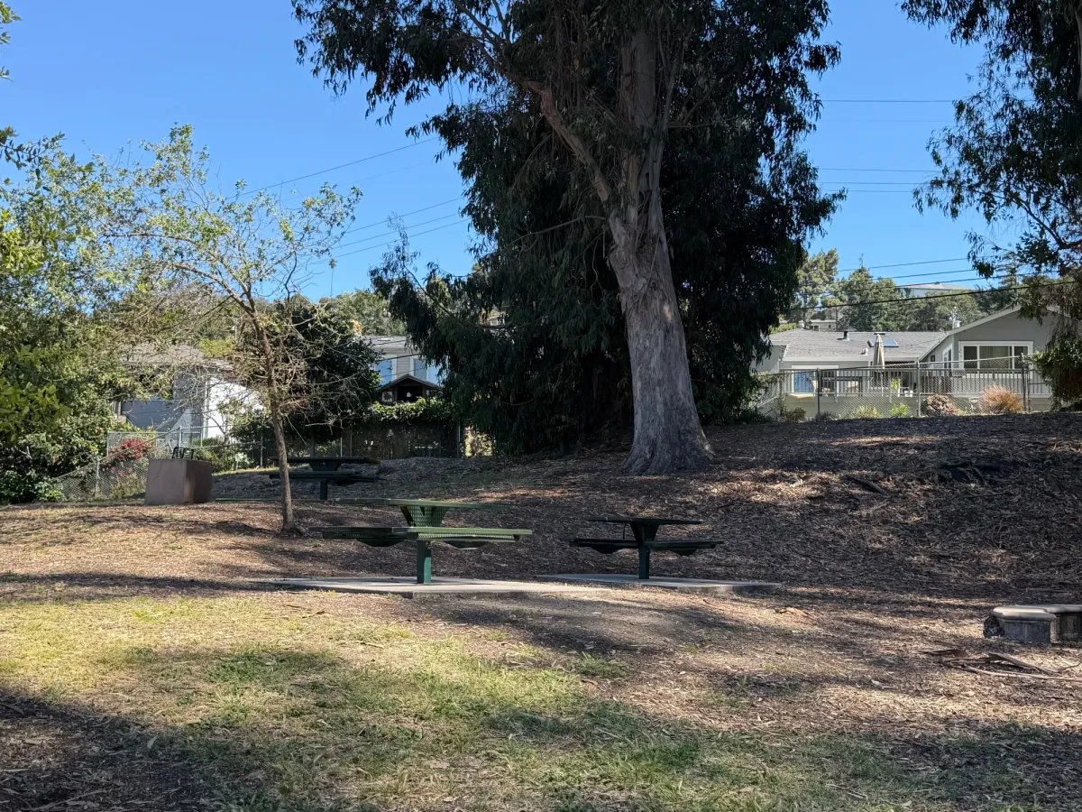 Picnic tables 