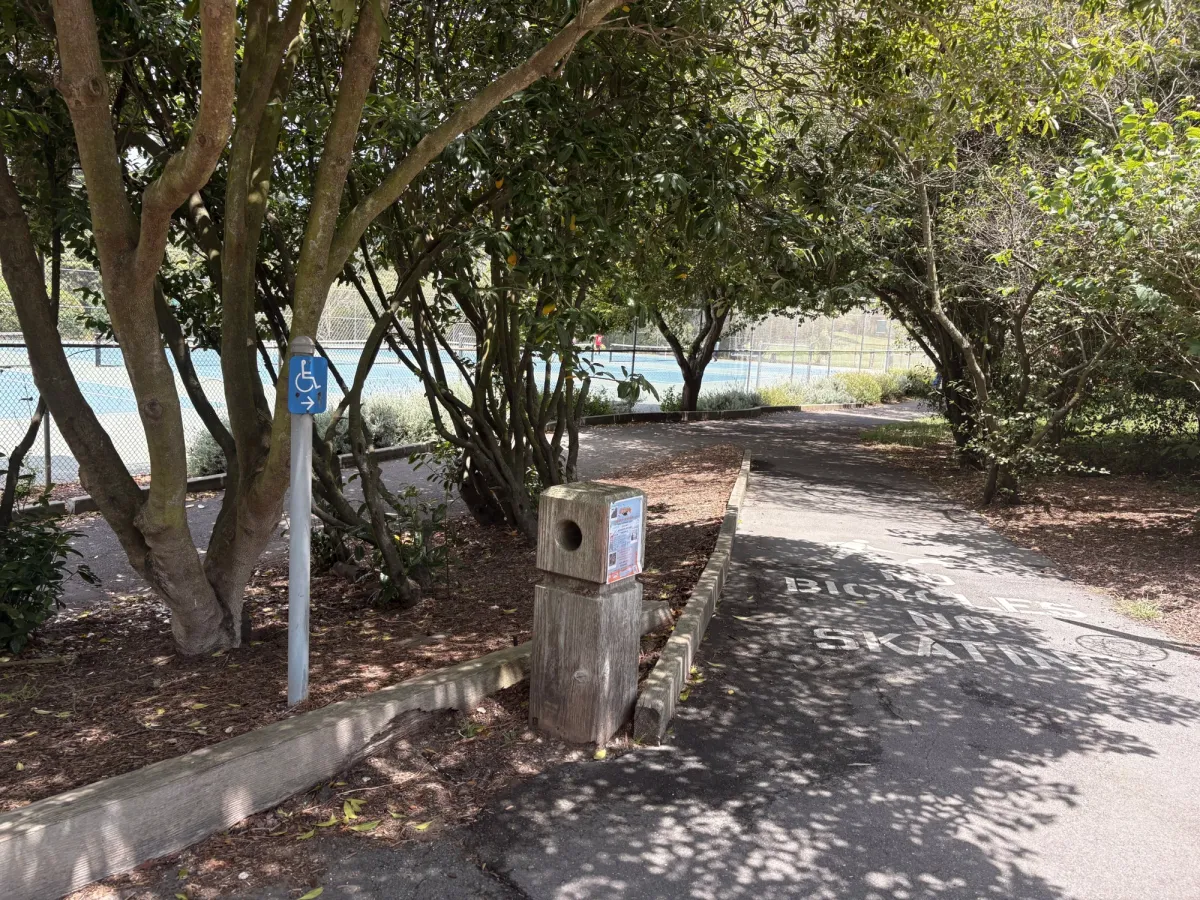 Handicap entrance