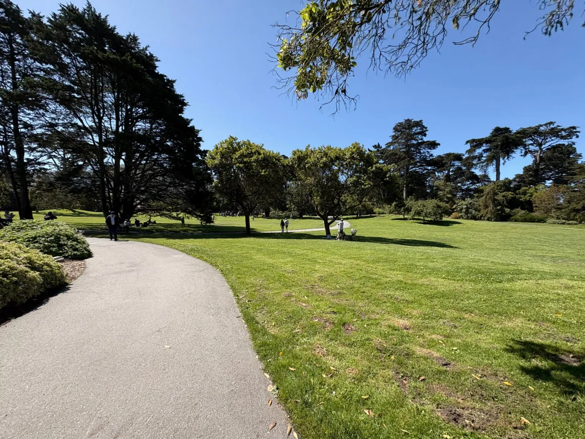 Views of the grounds
