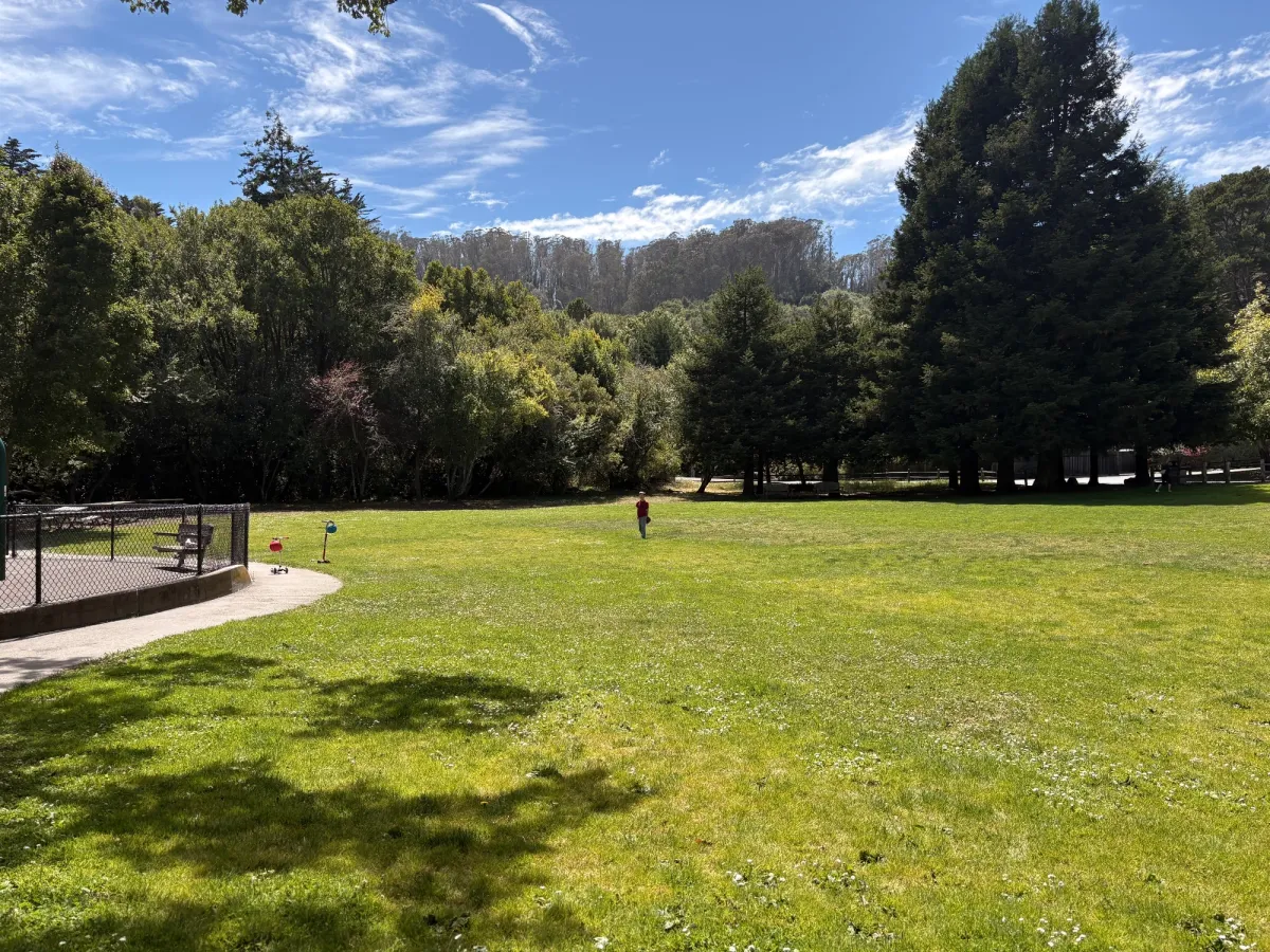 Green field and Mill Valley view