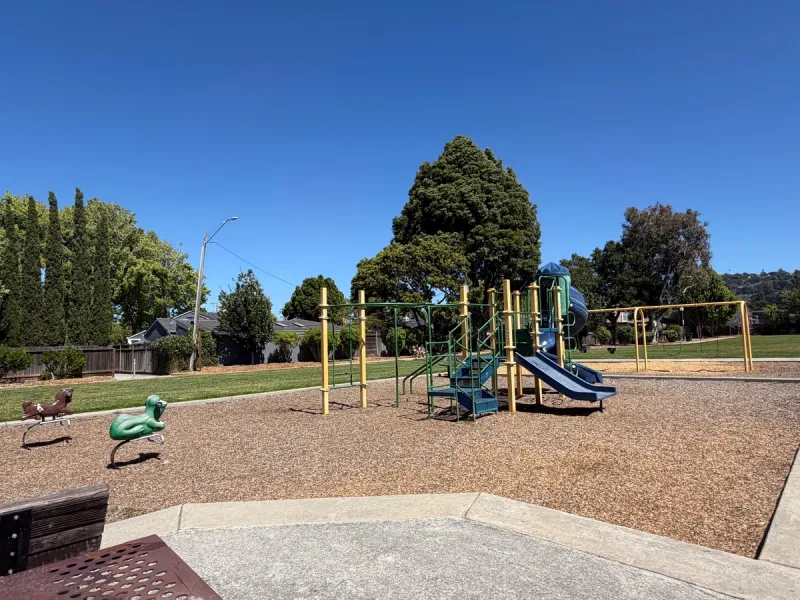 Playground structure with 2 ride on toys and swings