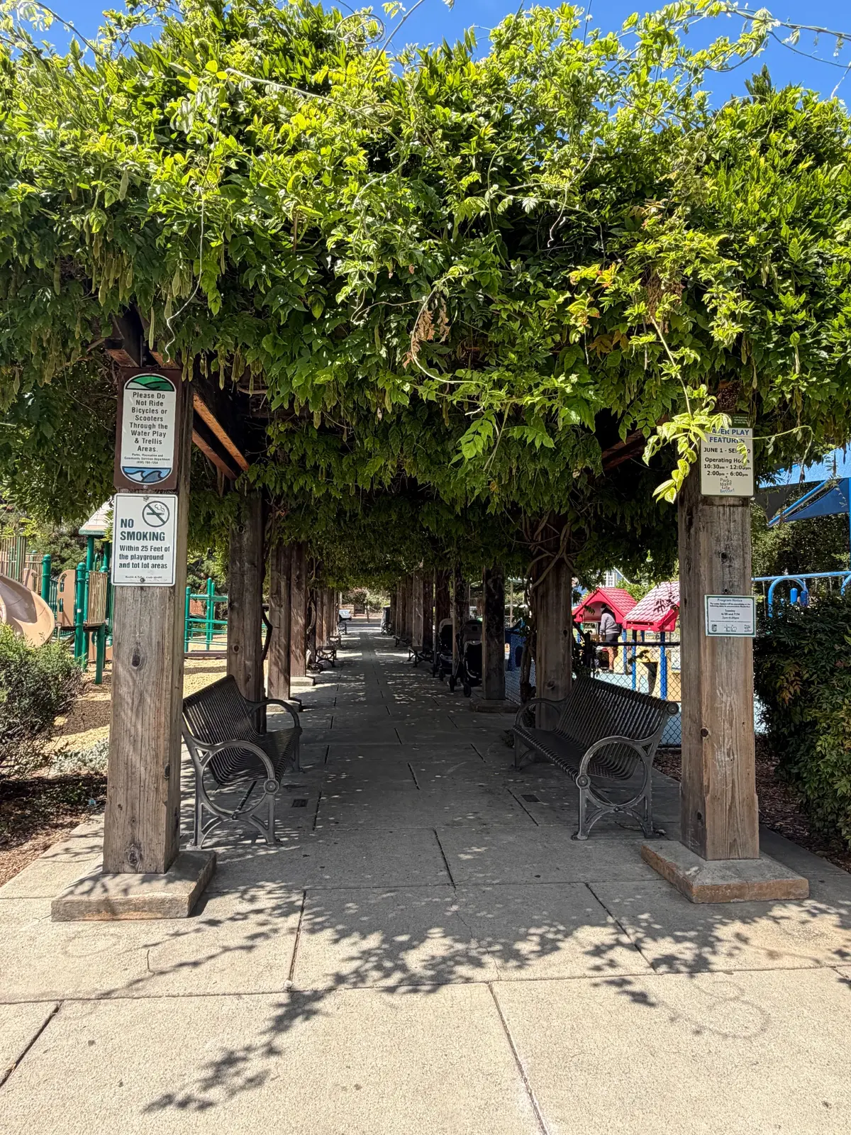 Beautiful shaded seating in between big kid and toddler zones