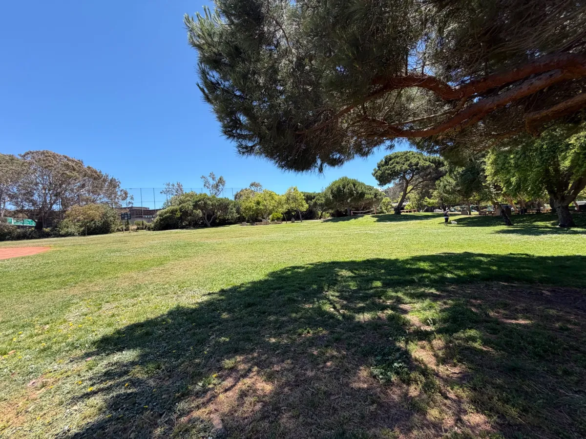 Large expanse of nice grassy field