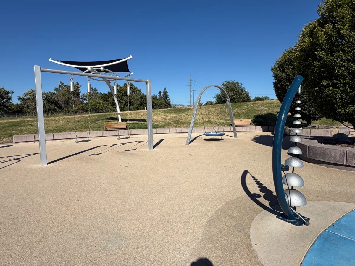 Additional swings including a saucer swing