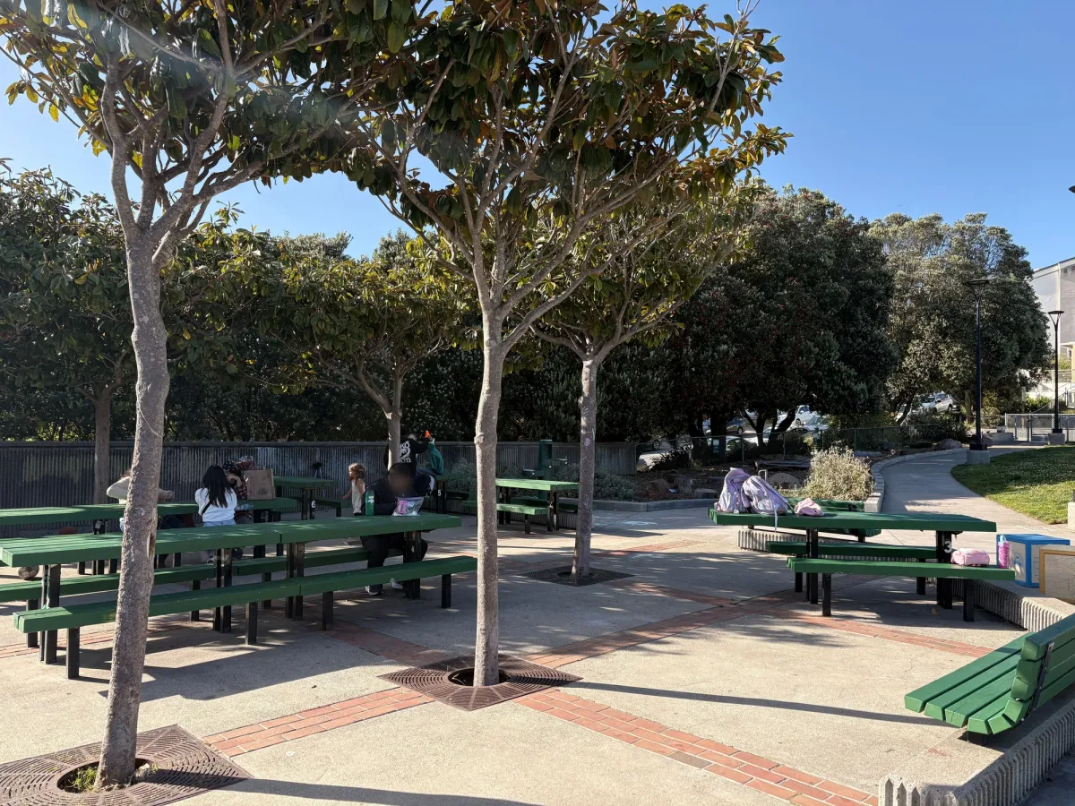 Picnic Area usually filled with kids birthday parties