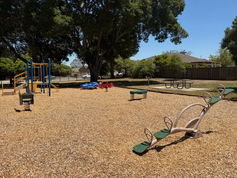 Seesaw, play structure, and ride on toys
