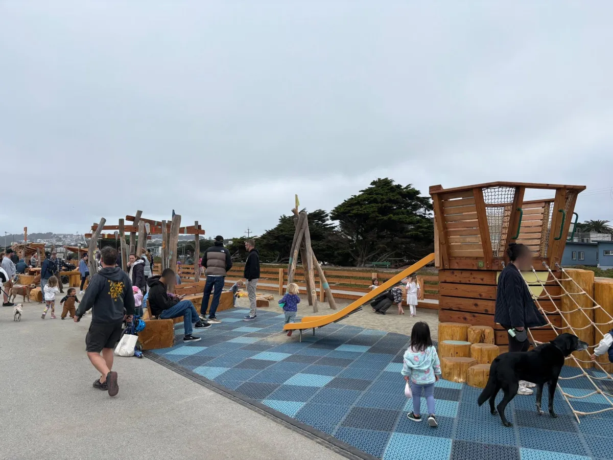 View of the other side of the play structure. Dogs are here too