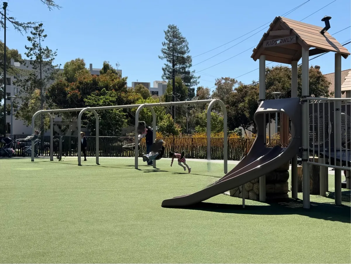 Large set of swing variety for big kids, toddlers, and friendship swing