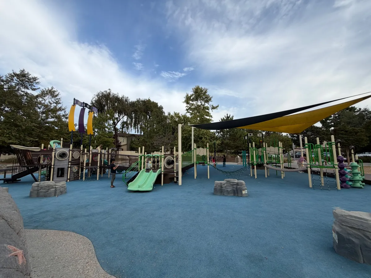 Full big kid playground structure