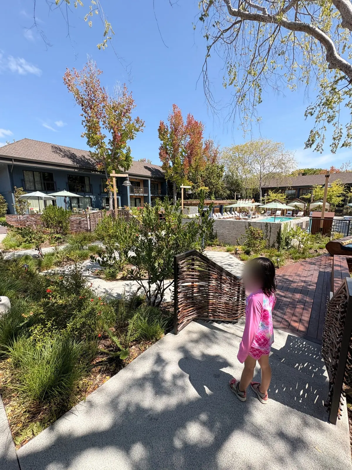 Treehouse Hotel Silicon Valley