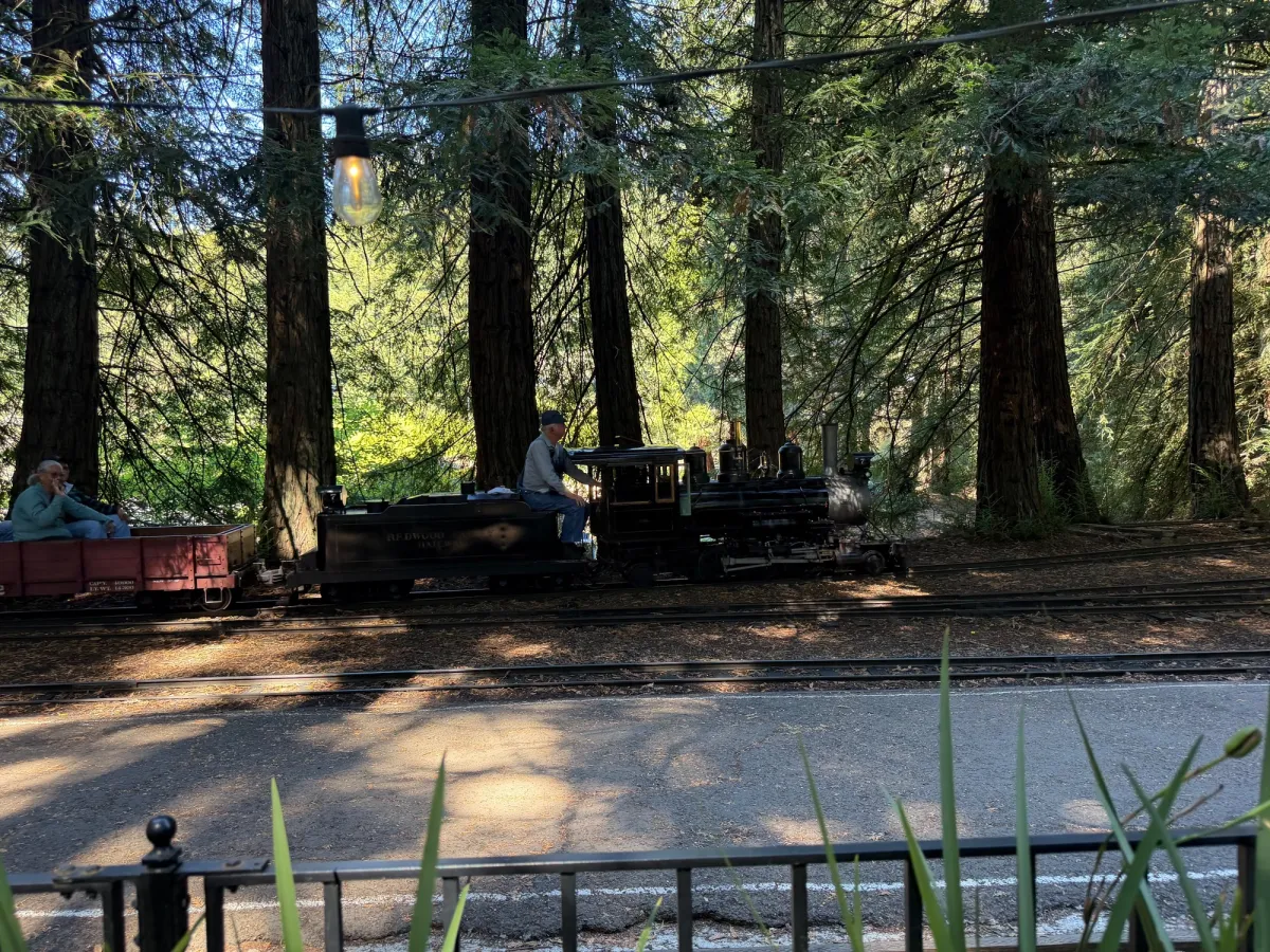 Tilden Park Steam Train at the Redwood Valley Railway