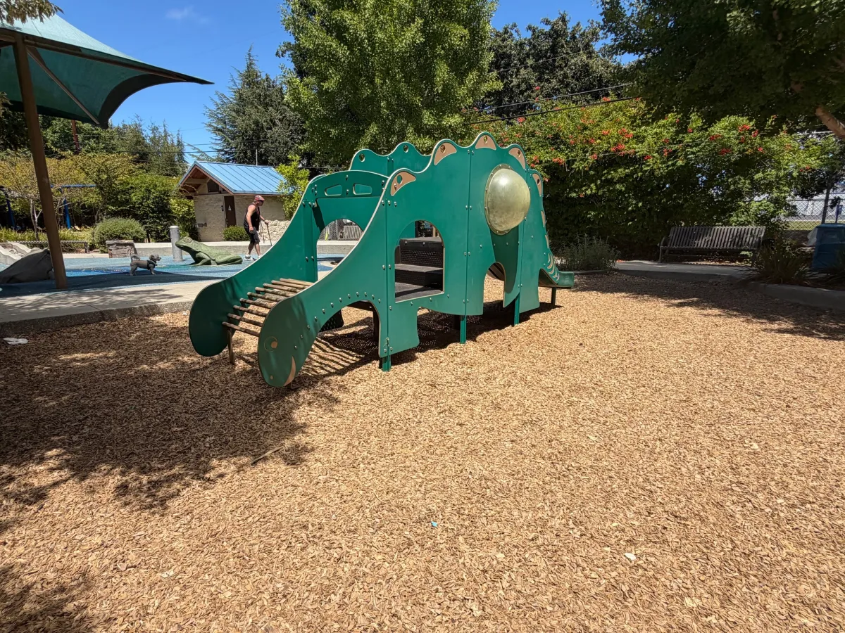 Charming stegosaurus shaped climber in toddler area