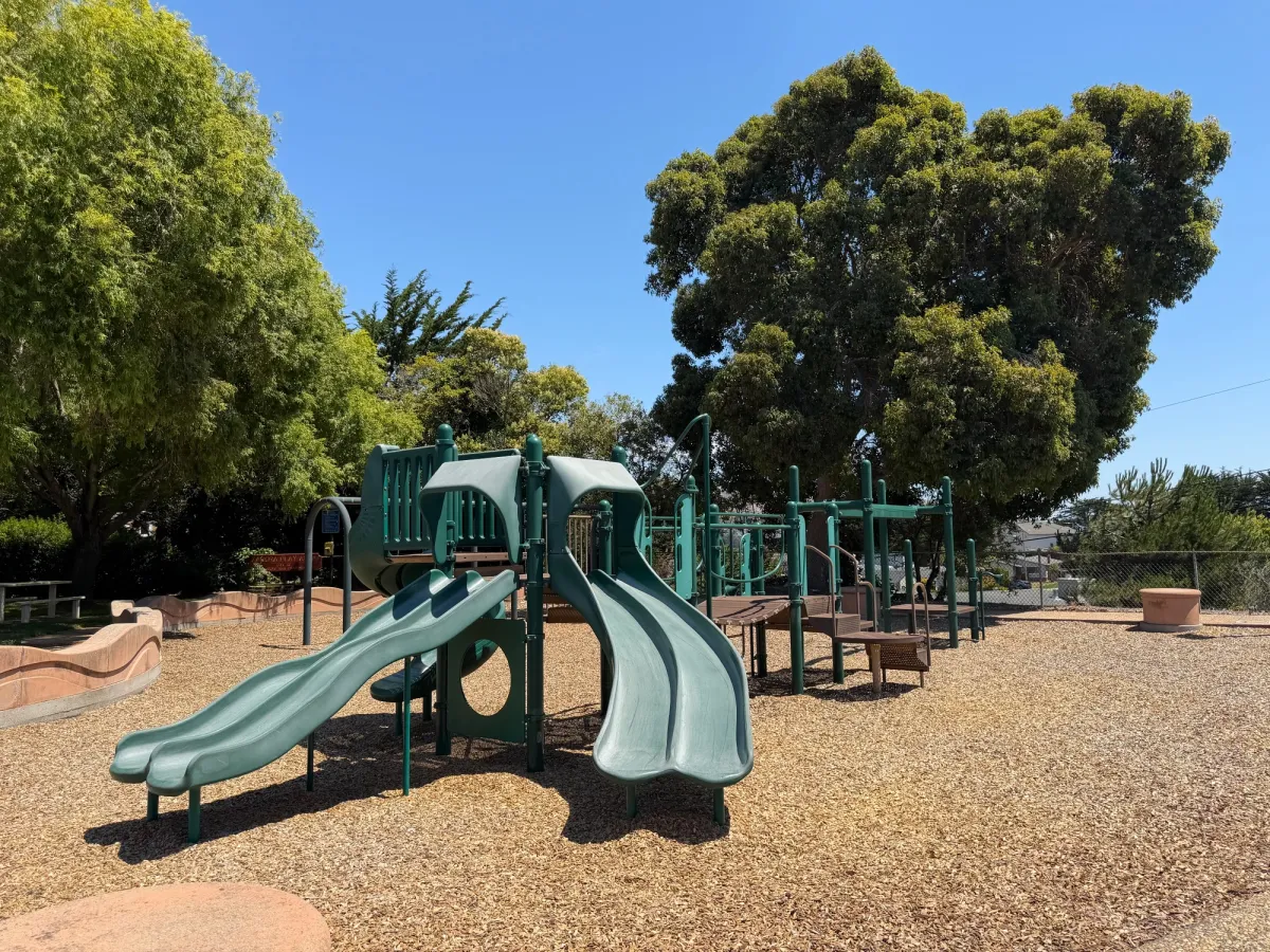 Variety of slides 