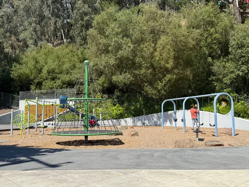Tall climbing carousel, climbers, and swings
