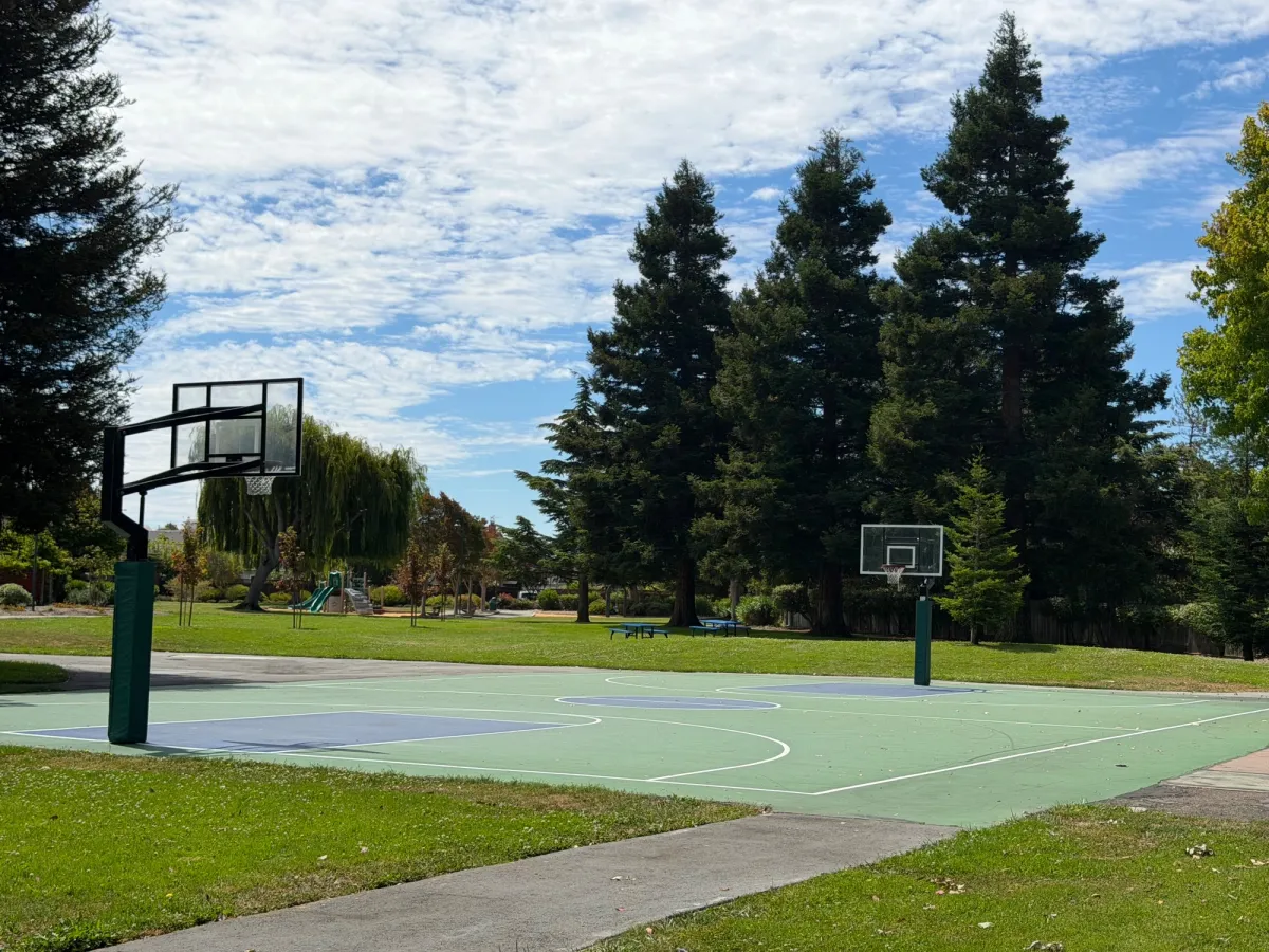 Basketball court