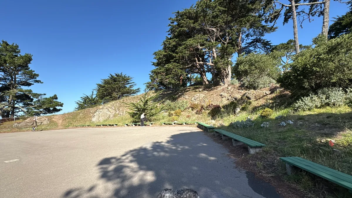 Flat Park area