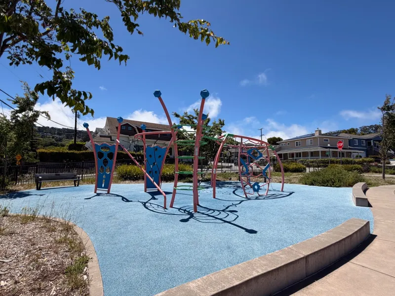 Climbing structure best for 3-8yo, too hard for younger tots, and not interesting enough for older kids