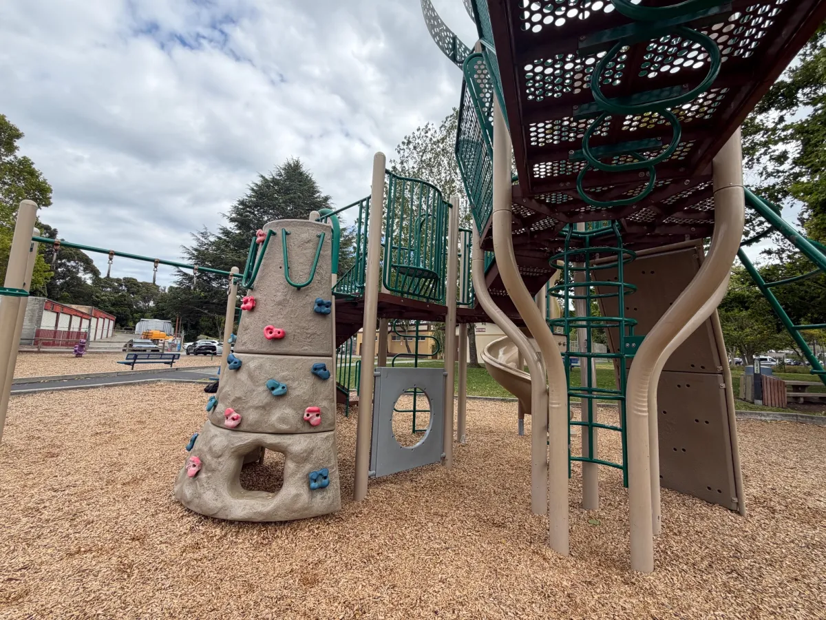 Rock climbing wall, monkeybars and climbing structure