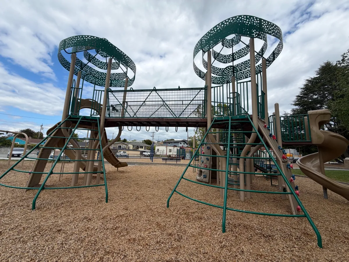 Climbers to reach top of big kid play structure