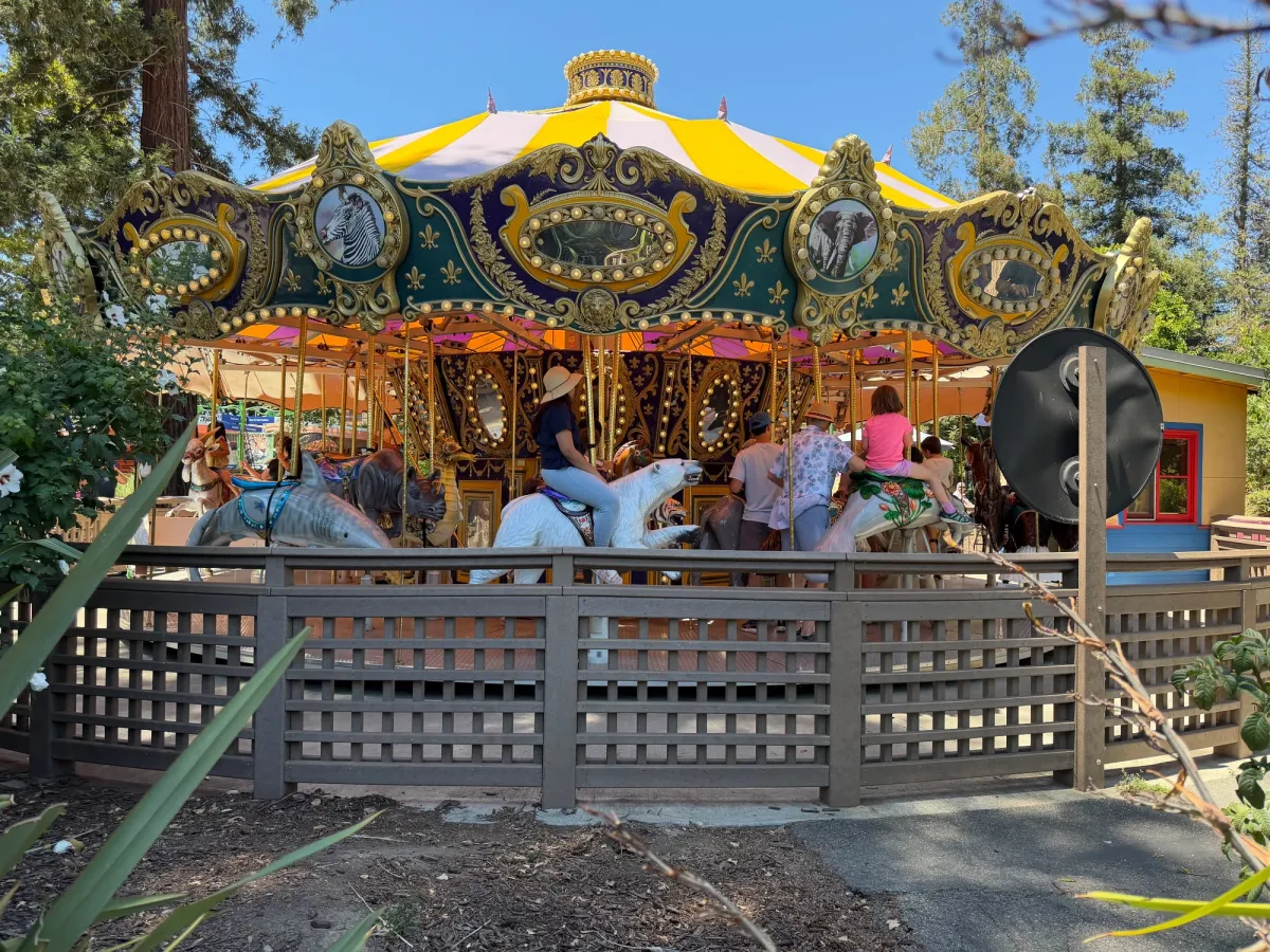 Merry go round is the first thing you see upon entering the park